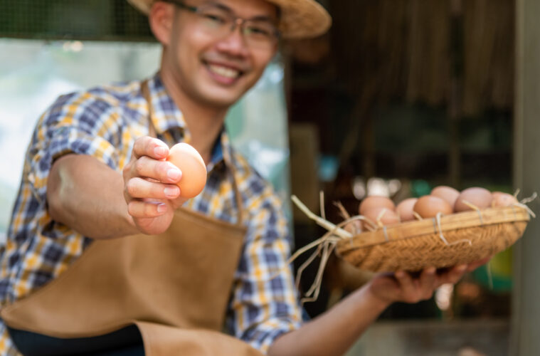 Poultry Profits: Offsetting the Cost of Raising Chickens